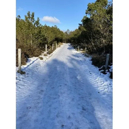 Alter Badweg 1 * Sankt Peter-Ording